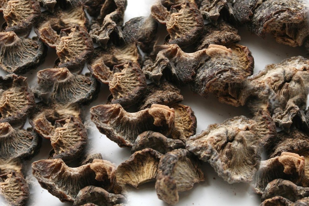 Dried 100% Dry Amla Seeds, For Medicinal, Packaging Type: Loose
