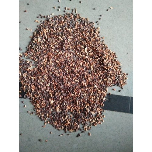 Amla Seed, Packaging Type: Jute Bag, Packaging Size: 35 Kg