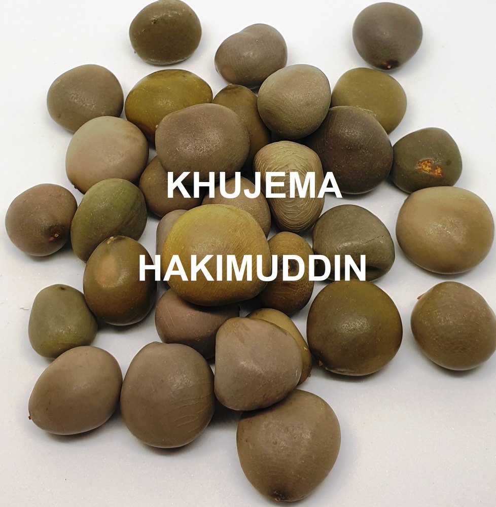 Khujema Hakimuddin Gataran Sagargota / Caesalpenia Bonducela, Packaging Size: 50-70 Kg