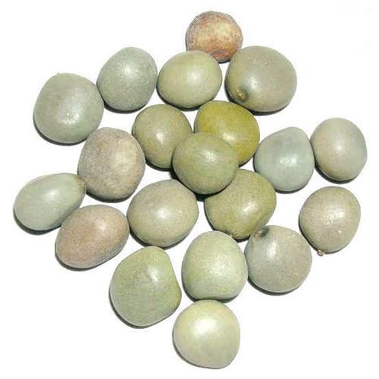 Kachka Seeds, Caesalpinia Crista, For Spice, Packaging Size: 10 kg