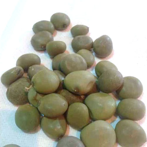 Sagargota Seeds, Upto 50 Kg , Packaging Type: Packet