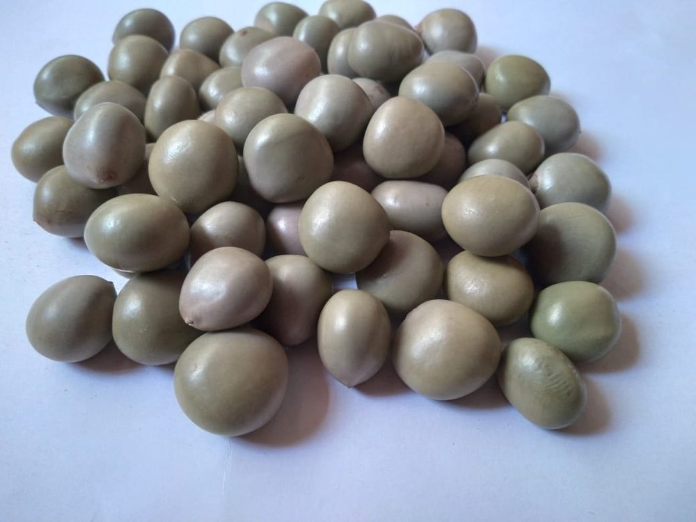 Fabaceae (Leguminosae) Caesalpinia Crista Seeds, For Ayurvedic Medicine, Packaging Type: Loose