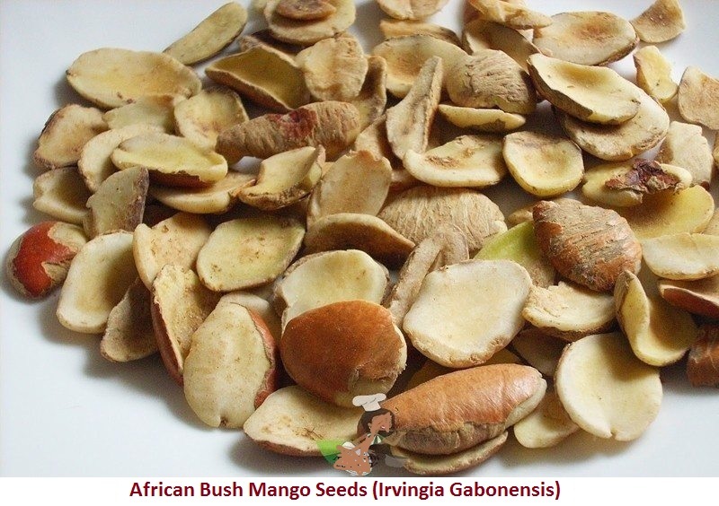 Irvingia Gabonensis - African Bush Mango Seeds, 1 Kilo