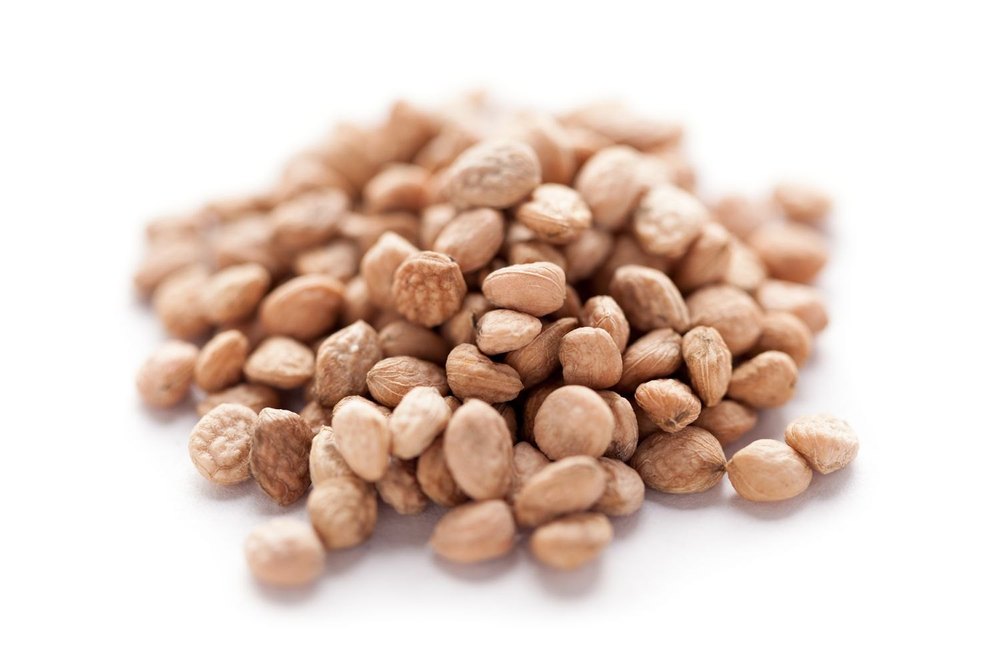Hybrid Sarpagandha Seed img