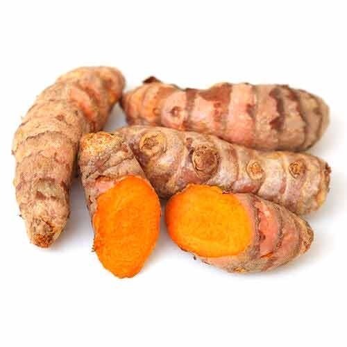 Turmeric / Curcuma Longa Root Powder, Packaging Size: 5Kg