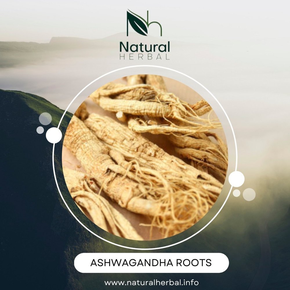 Ashwagandha Roots Dried, Bag, Loose Bags