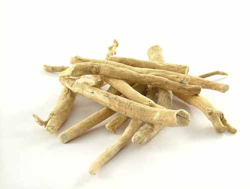 Withania Somnifera (Pack of 25)