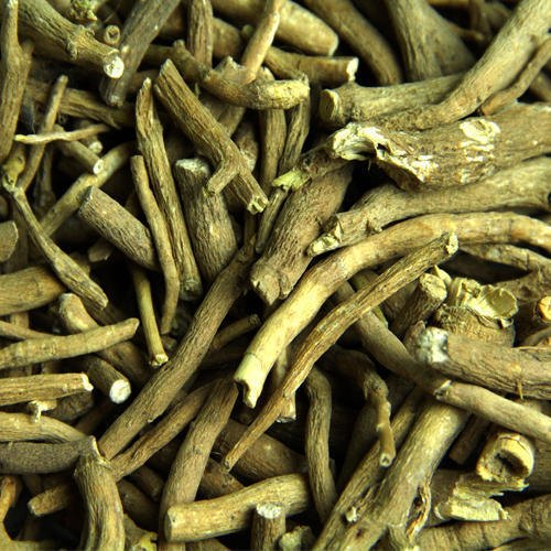 Ashawagandha/ Winter Cherry/ Withania Somnifera Root, Packaging Type: Bag, Packaging Size: 25 Kg