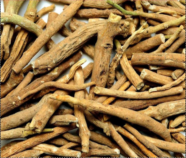 Withania Somnifera Ashwagandha Root