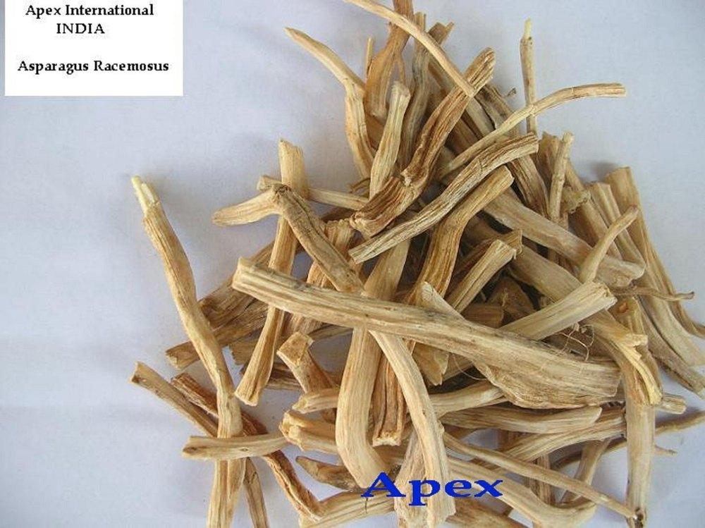 Asparagus Racemosus Root, Packaging Size: 20kg / 50kg