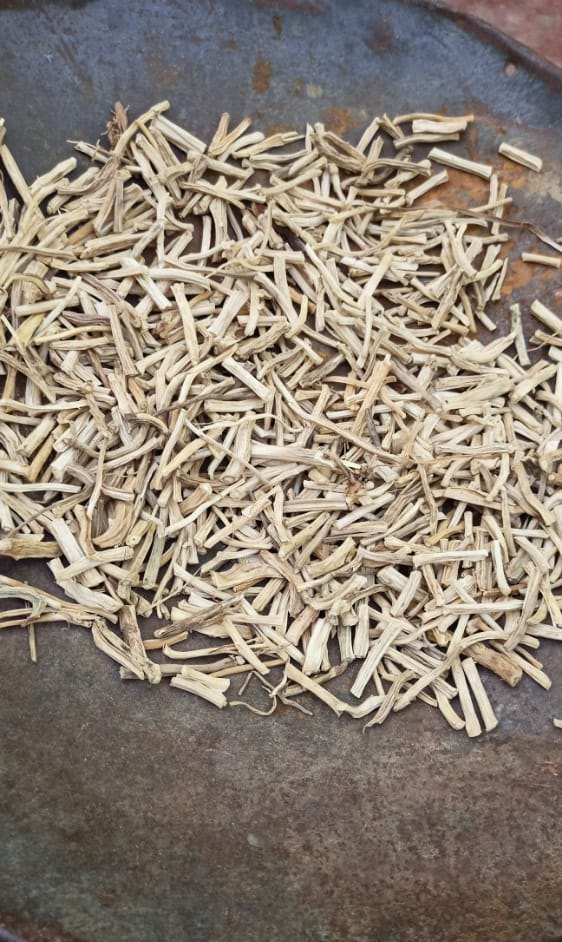 White Shatavari Dry Root, Packaging Type: Bag, Grade Standard: Medicine Grade