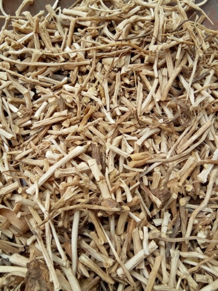 Dry White Shatavari, Packaging Type: Jute Bag