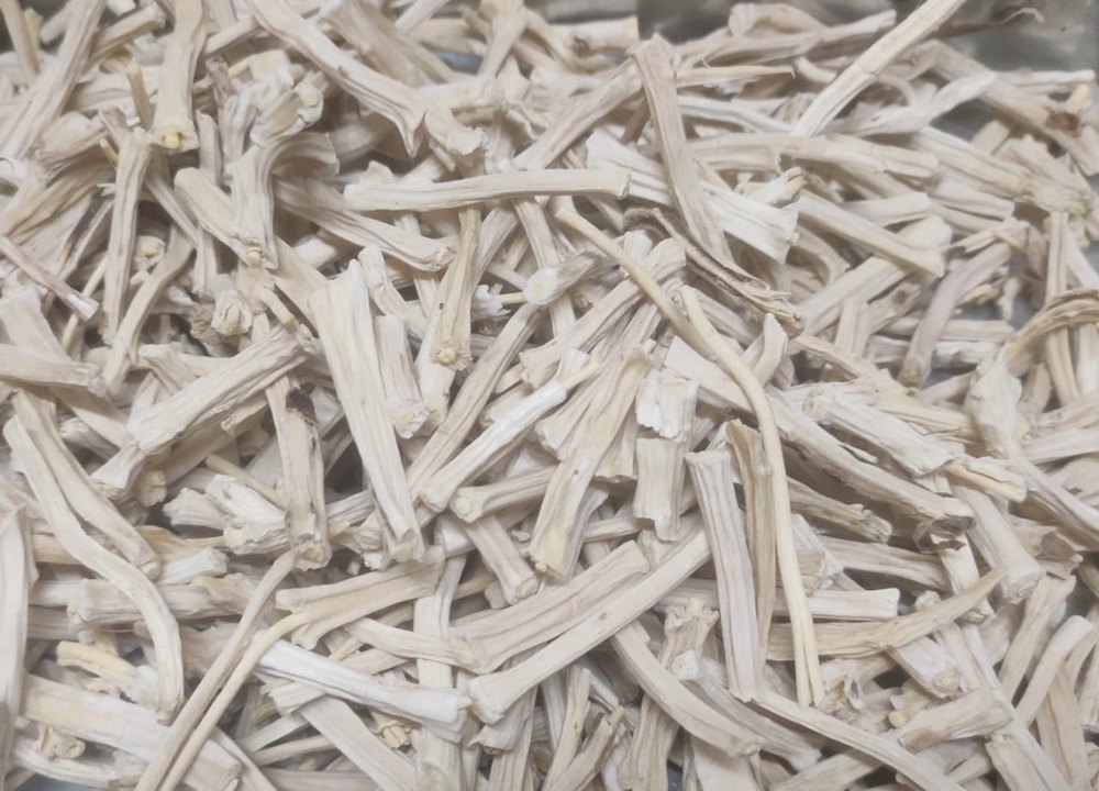 Sanwaliya Herbal White Shatavari Root, Packaging Type: Loose, Grade Standard: Medicine Grade