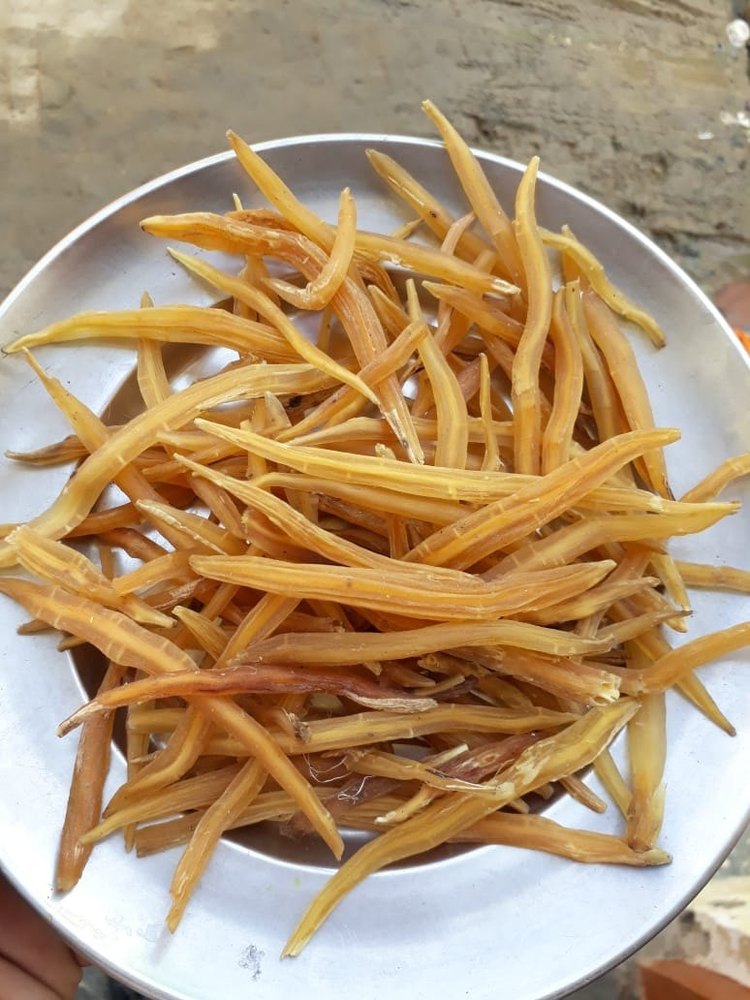 Dry Shatavari Root, Packaging Type: Bag, Packaging Size: 25 kg