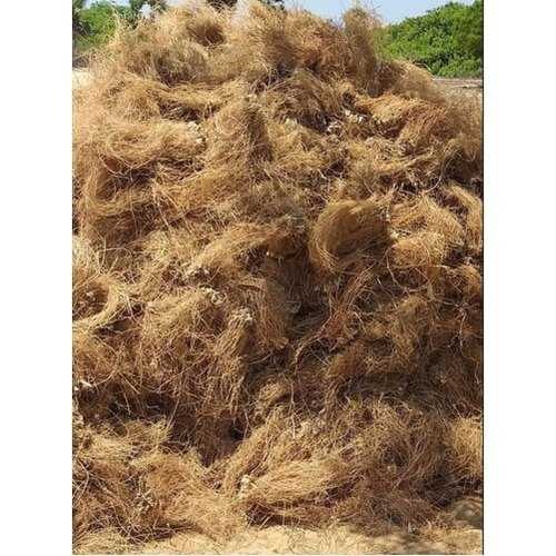 Vetiver (Khus) Root