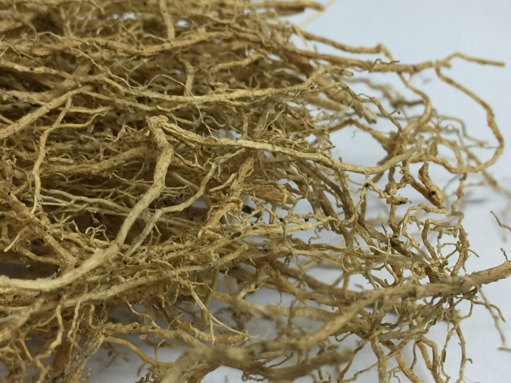 Dried Andropogon Muricatus Root, Packaging Type: Loose