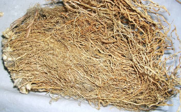 Vetiver Root, Packaging Type: Bag, Packaging Size: 10 Kg