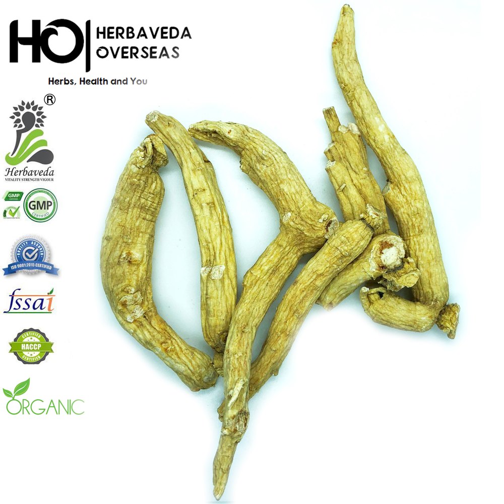 Wild Ginseng Roots, Packaging Type: Plastic, Packaging Size: 1 Kilogram