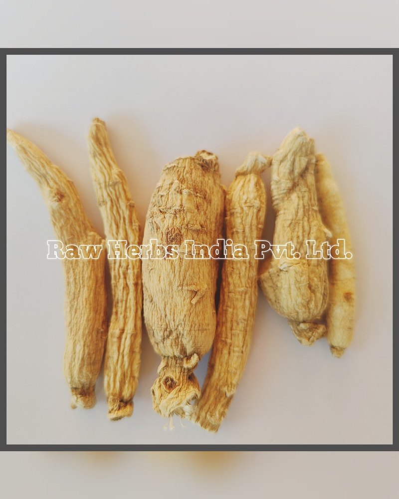 GINSENG ROOT / PANAX QUINQUE FOLIUS, Packaging Size: 20kgs Bag