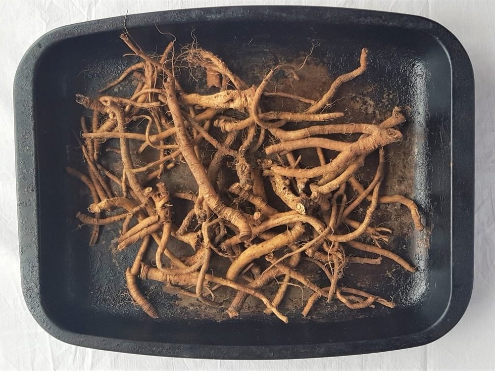 Dandelion Root Extract, Packaging Type: HDPE Drum, Packaging Size: 1 Kg