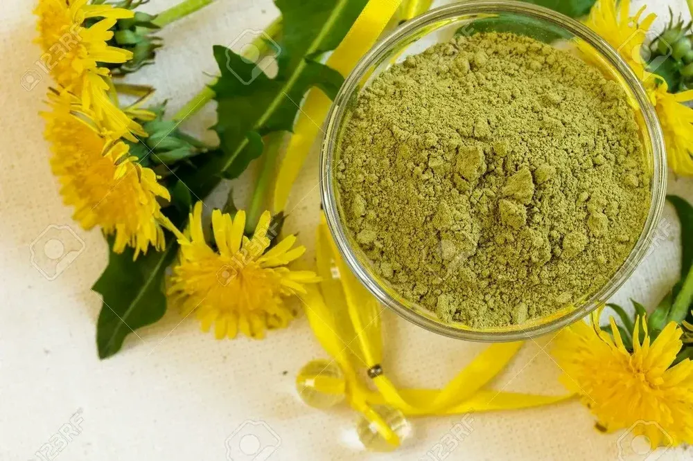 Yellow-Brown Taraxicum Dens-Leonnis Dandelion Root Extract