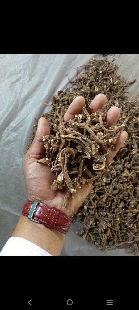 Himalayan Dandelion Dry Root, Packaging Size: 1kgs To 25kgs
