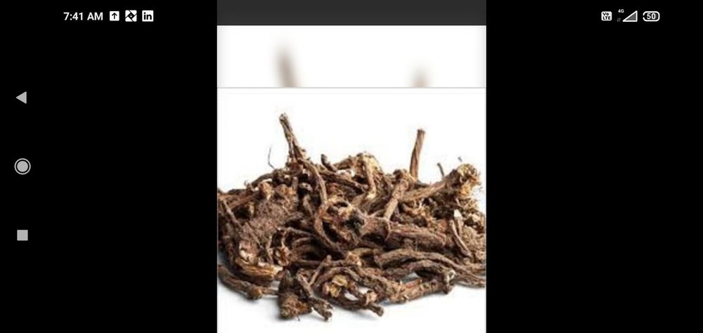 Dandelion Root