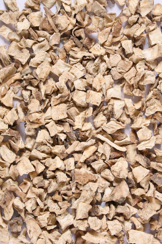 Chicory Root / Cichorium Intybys