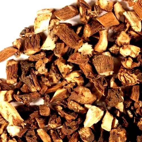 Chicory Root