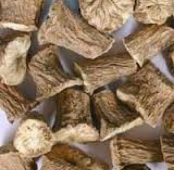 Chicory Roots