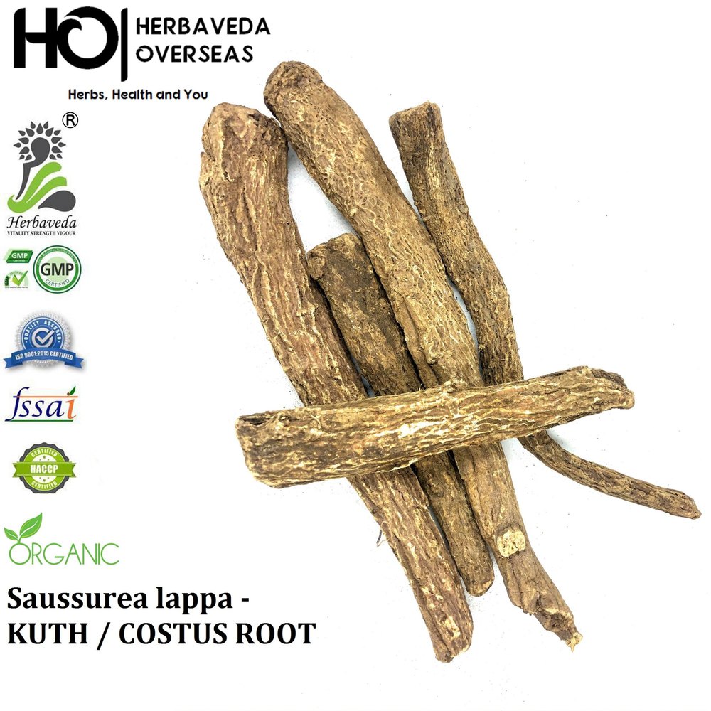 Saussurea Costus Root Kuth Root