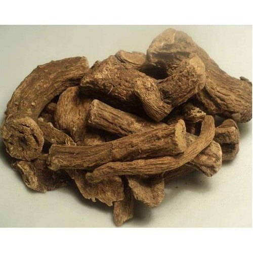 Saussurea lappa / Kuth root / Costus root