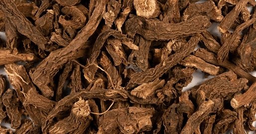 Coleus Roots