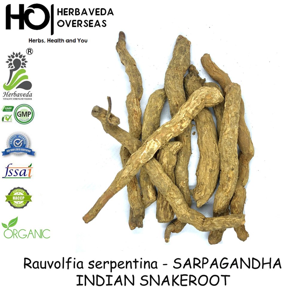 Rauvolfia Serpentina Sarpgandha Isrol Snakeroot