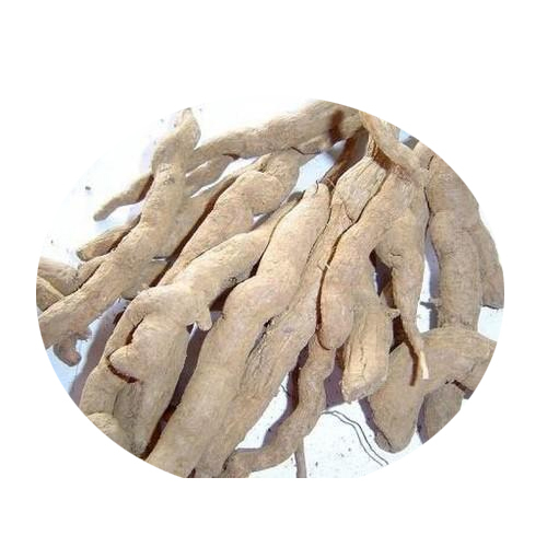 Sarpagandha Root, Packaging Type: Bag, Packaging Size: 40 kg