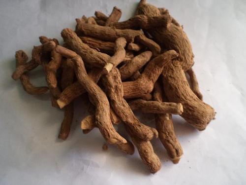 Dry Sarpagandha Root, For Ayurvedic, Grade Standard: Medicine Grade