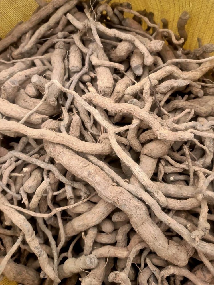 sarpagandha roots, Bag, 50kg