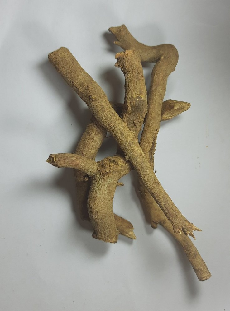 Dried Sarpagandha Root