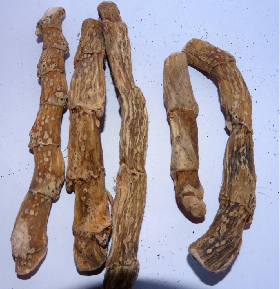 Dried Organic Gudbach