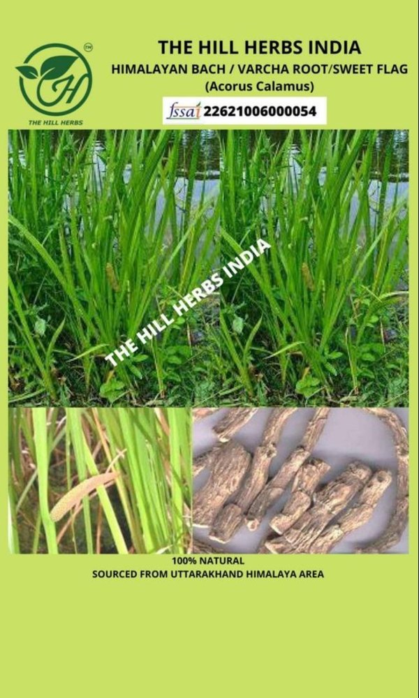 Brown Acorus Calamus Himalayan Bach / Vacha Root/sweet Flag, Packaging Type: Bag, Packaging Size: 500g To 20kgs