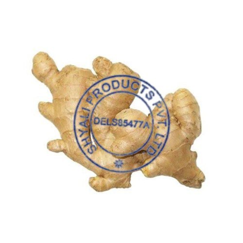 A Grade Ginger Root, Packaging Size: 50 Kgs