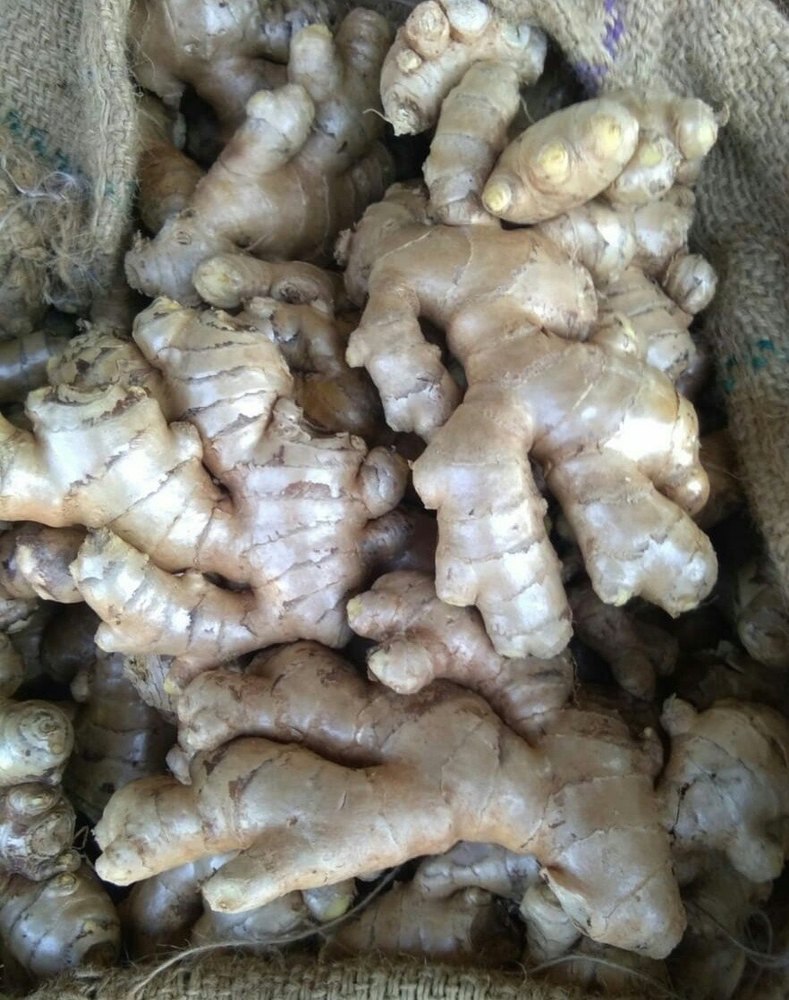A Grade Fresh Ginger, Gunny Bag