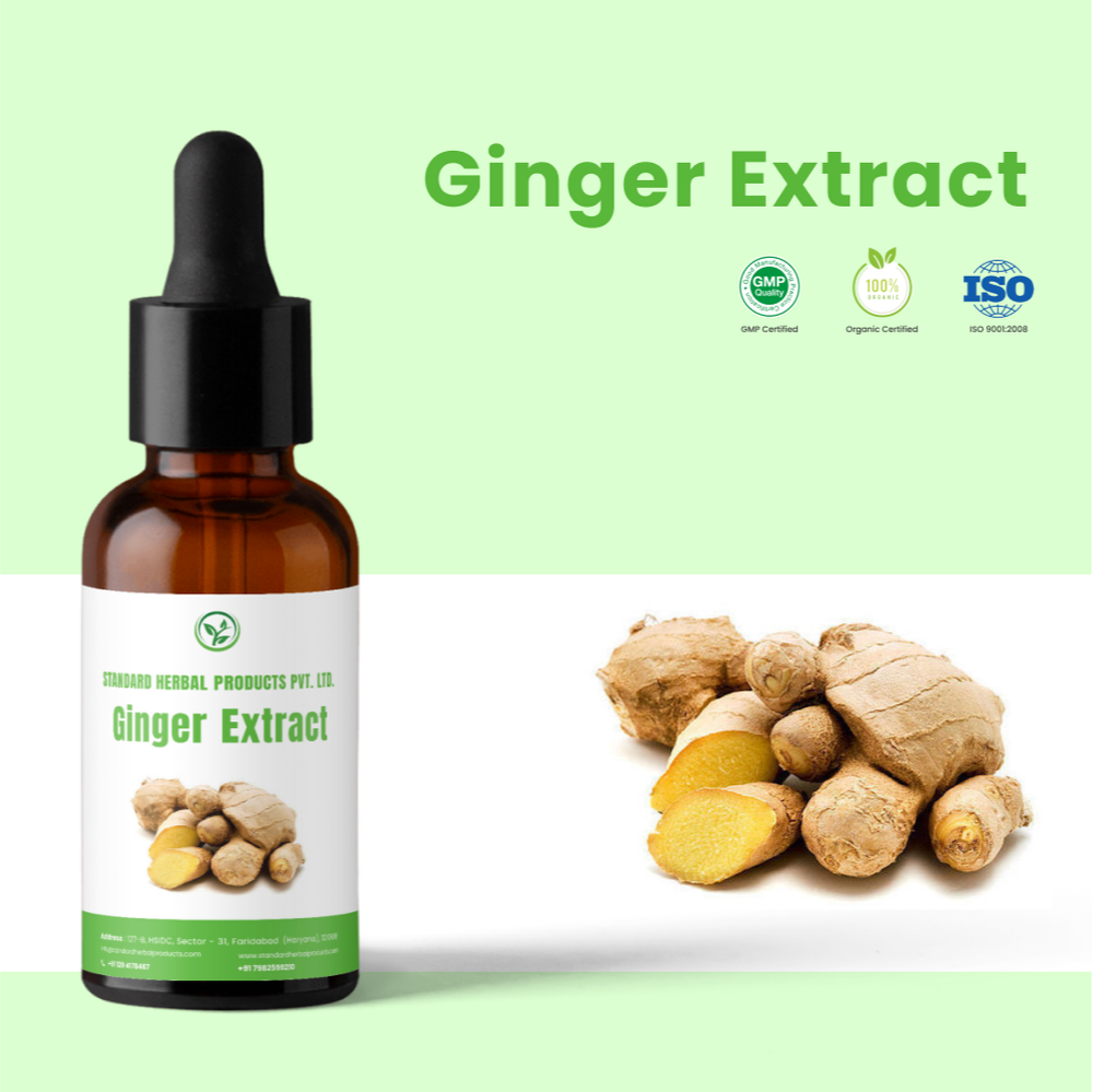Ginger Root Extract