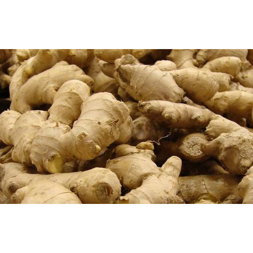 Fresh Ginger Root