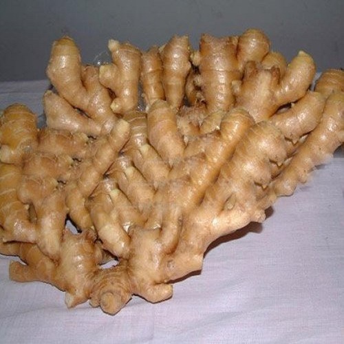 Fresh Ginger Root, Packaging Size: 1 Kg