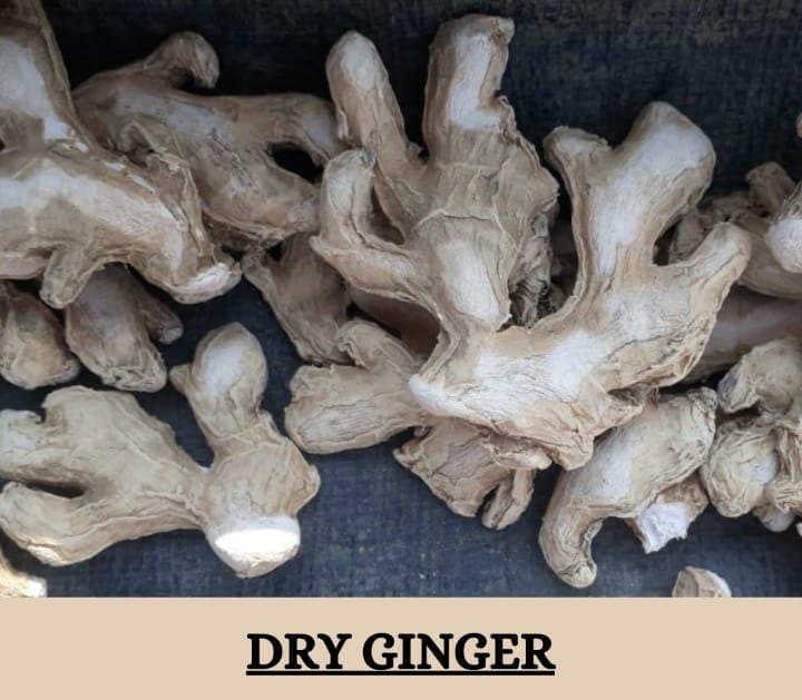 Spices Indian Dry Ginger Herbal Roots, Packaging Type: Loose