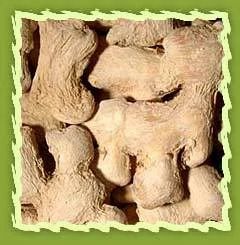 Ginger, Dried Ginger (Zingiber Officinale)