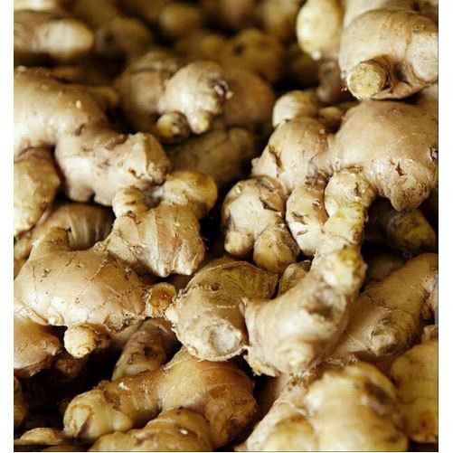 Ginger Root, 50 Kg, Packaging Type: Pp Bag