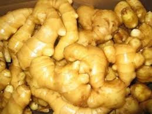 Ginger (Adrak) Root