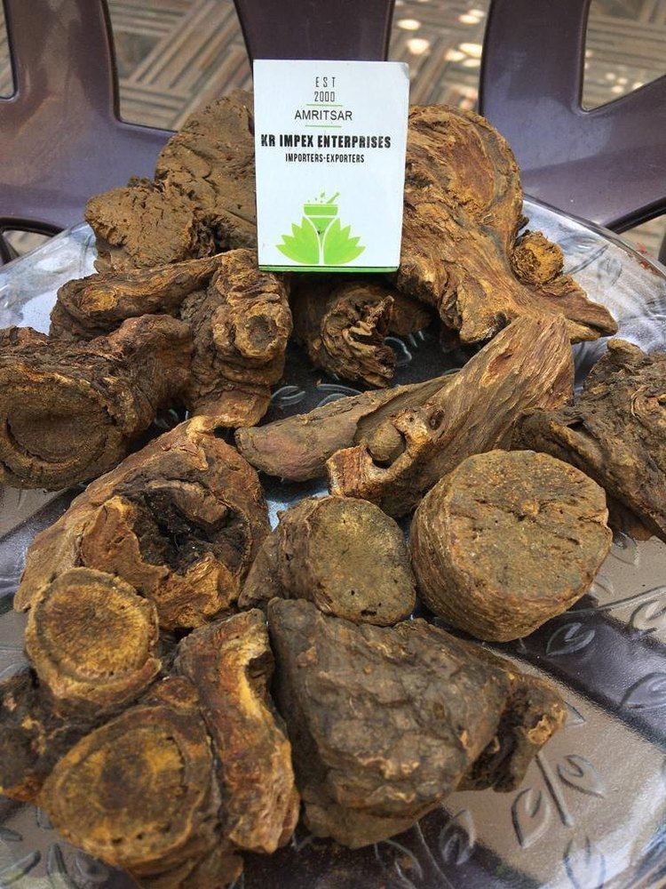 Revan Chini - Rheum Emodi - Indian Rhubarb Seed, Packaging Type: Packet